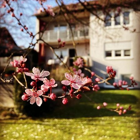 Ferienwohnung Im Aalbachtal - Uettingen Bei Wuerzburg מראה חיצוני תמונה