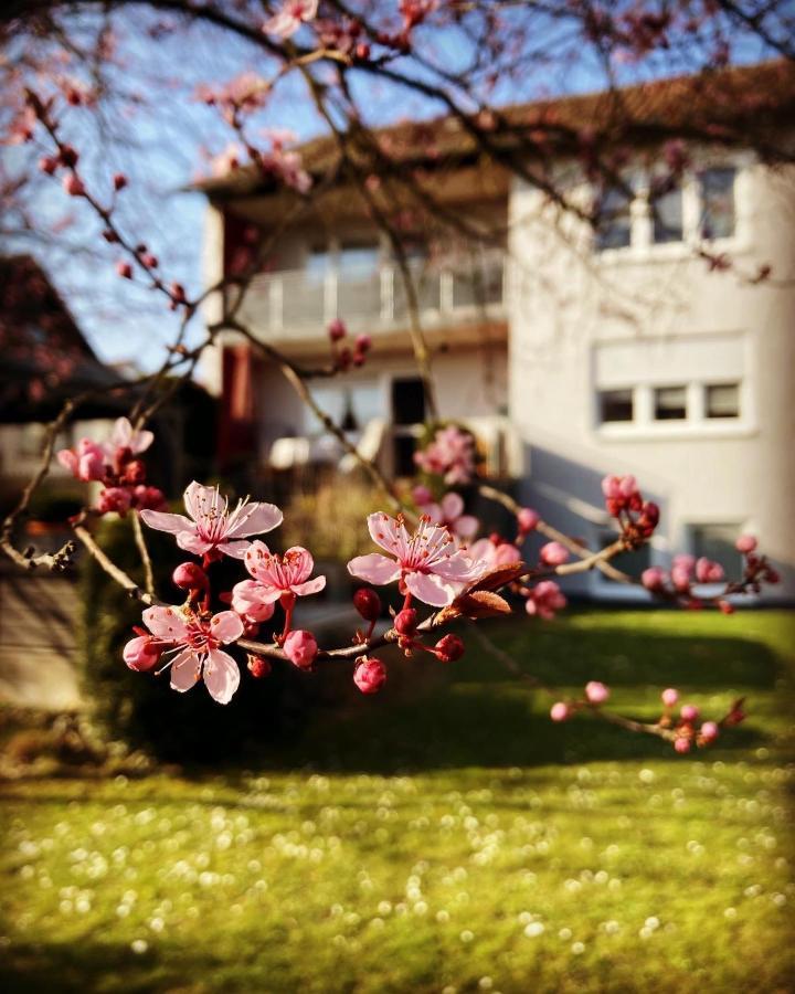 Ferienwohnung Im Aalbachtal - Uettingen Bei Wuerzburg מראה חיצוני תמונה