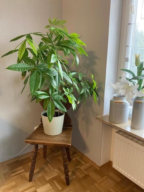 Ferienwohnung Im Aalbachtal - Uettingen Bei Wuerzburg מראה חיצוני תמונה